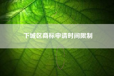 下城区商标申请时间限制