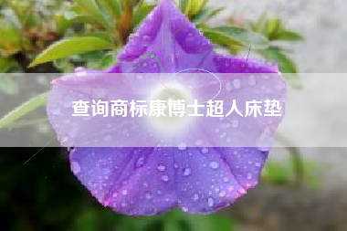 查询商标康博士超人床垫