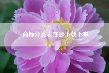 商标分类表在哪下载下来