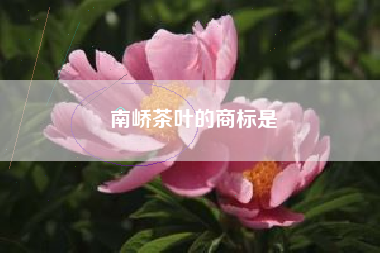 南峤茶叶的商标是