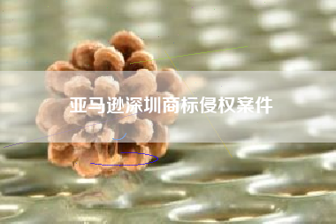 亚马逊深圳商标侵权案件