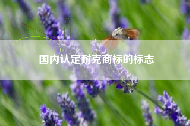 国内认定耐克商标的标志