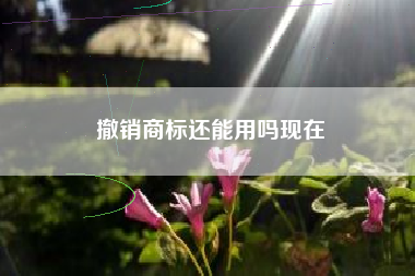 撤销商标还能用吗现在