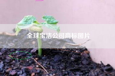 全球宝洁公司商标图片