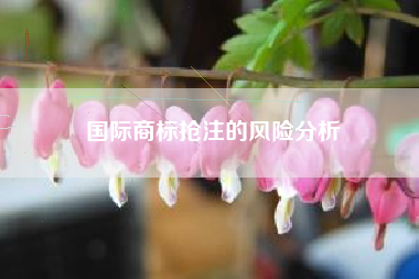 国际商标抢注的风险分析