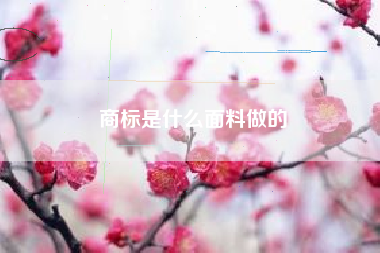 商标是什么面料做的