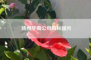 扬州华南公司商标图片