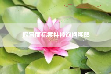 假冒商标案件被询问期限