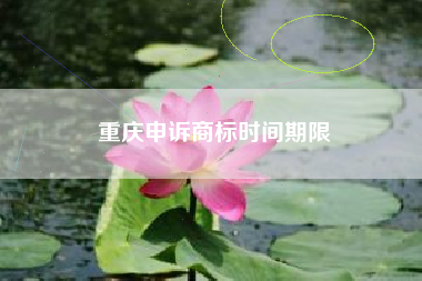 重庆申诉商标时间期限