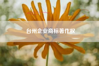 台州企业商标著作权
