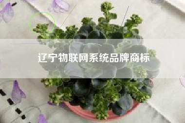 辽宁物联网系统品牌商标