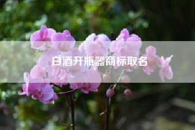 白酒开瓶器商标取名