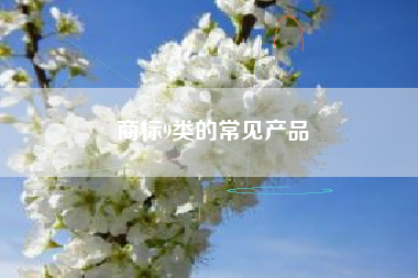 商标9类的常见产品