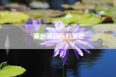 茅台酒商标的鉴定