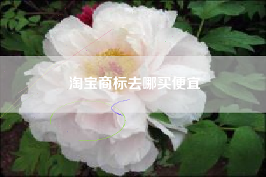 淘宝商标去哪买便宜