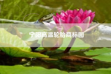 宁阳高温轮胎商标图