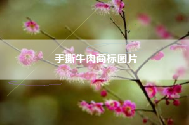手撕牛肉商标图片