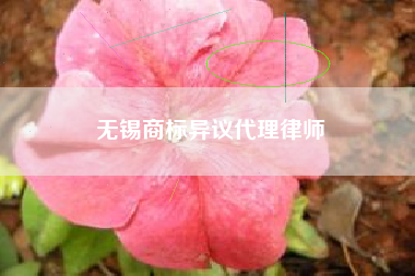 无锡商标异议代理律师