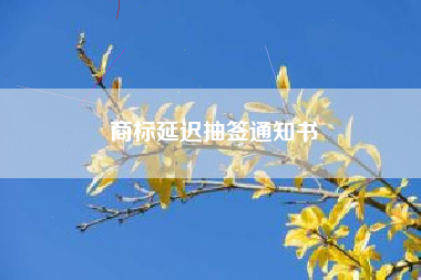 商标延迟抽签通知书