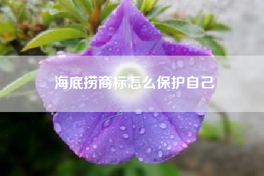 海底捞商标怎么保护自己
