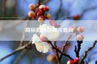 商标暗码在哪儿查询