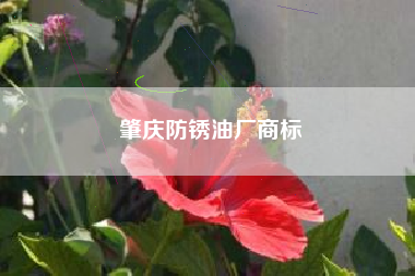 肇庆防锈油厂商标