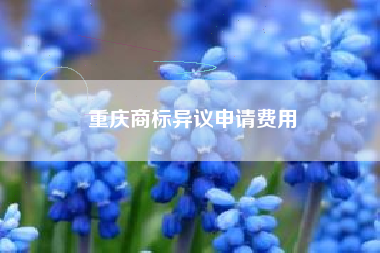 重庆商标异议申请费用