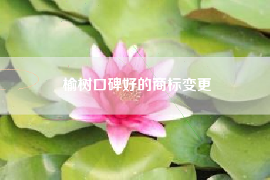 榆树口碑好的商标变更