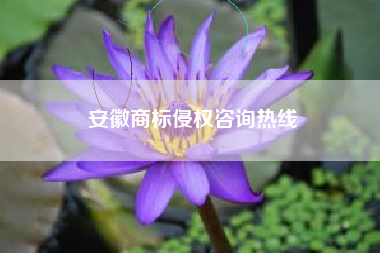 安徽商标侵权咨询热线