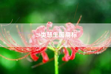 29类慧生园商标