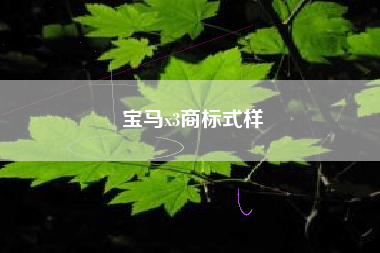 宝马x3商标式样