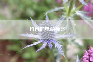 抖音的电商标签