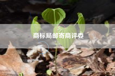 商标局邮寄商评委