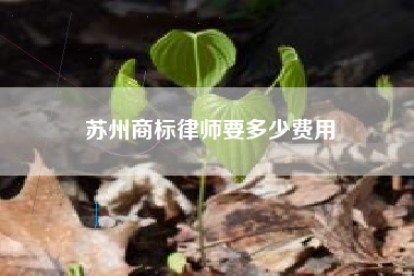 苏州商标律师要多少费用
