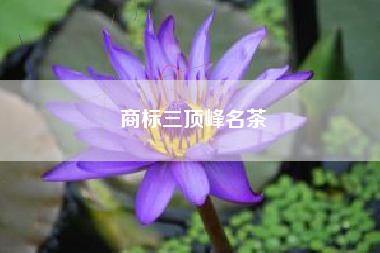 商标三顶峰名茶