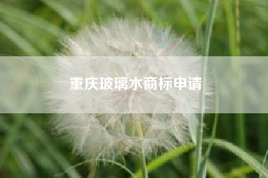 重庆玻璃水商标申请