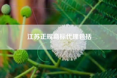 江苏正规商标代理包括