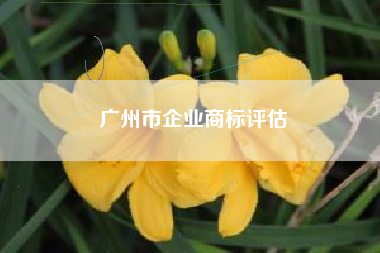 广州市企业商标评估