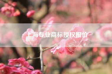 上海专业商标授权报价