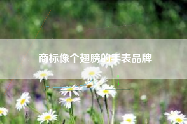 商标像个翅膀的手表品牌