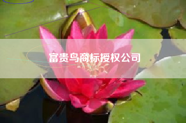 富贵鸟商标授权公司