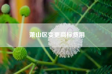 萧山区变更商标费用