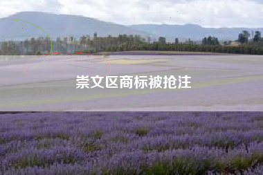 崇文区商标被抢注