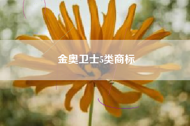 金奥卫士5类商标