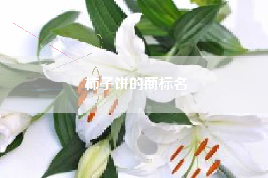 柿子饼的商标名