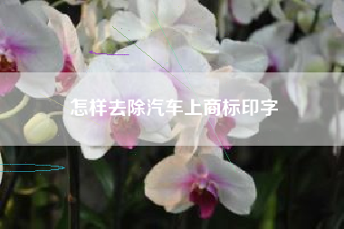 怎样去除汽车上商标印字