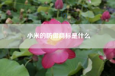 小米的防御商标是什么
