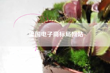 美国电子商标局网站