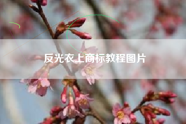 反光衣上商标教程图片