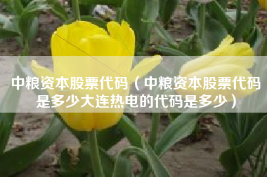中粮资本股票代码（中粮资本股票代码是多少大连热电的代码是多少）